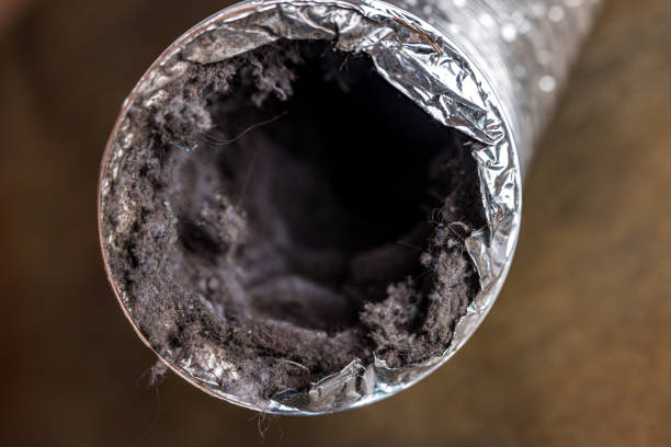 Best Affordable Air Duct Cleaning  in University At Buffalo, NY