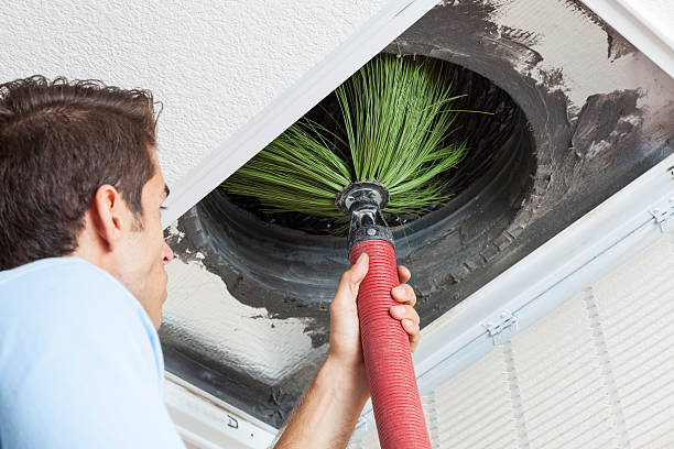 Best Professional Duct Cleaning Services  in University At Buffalo, NY